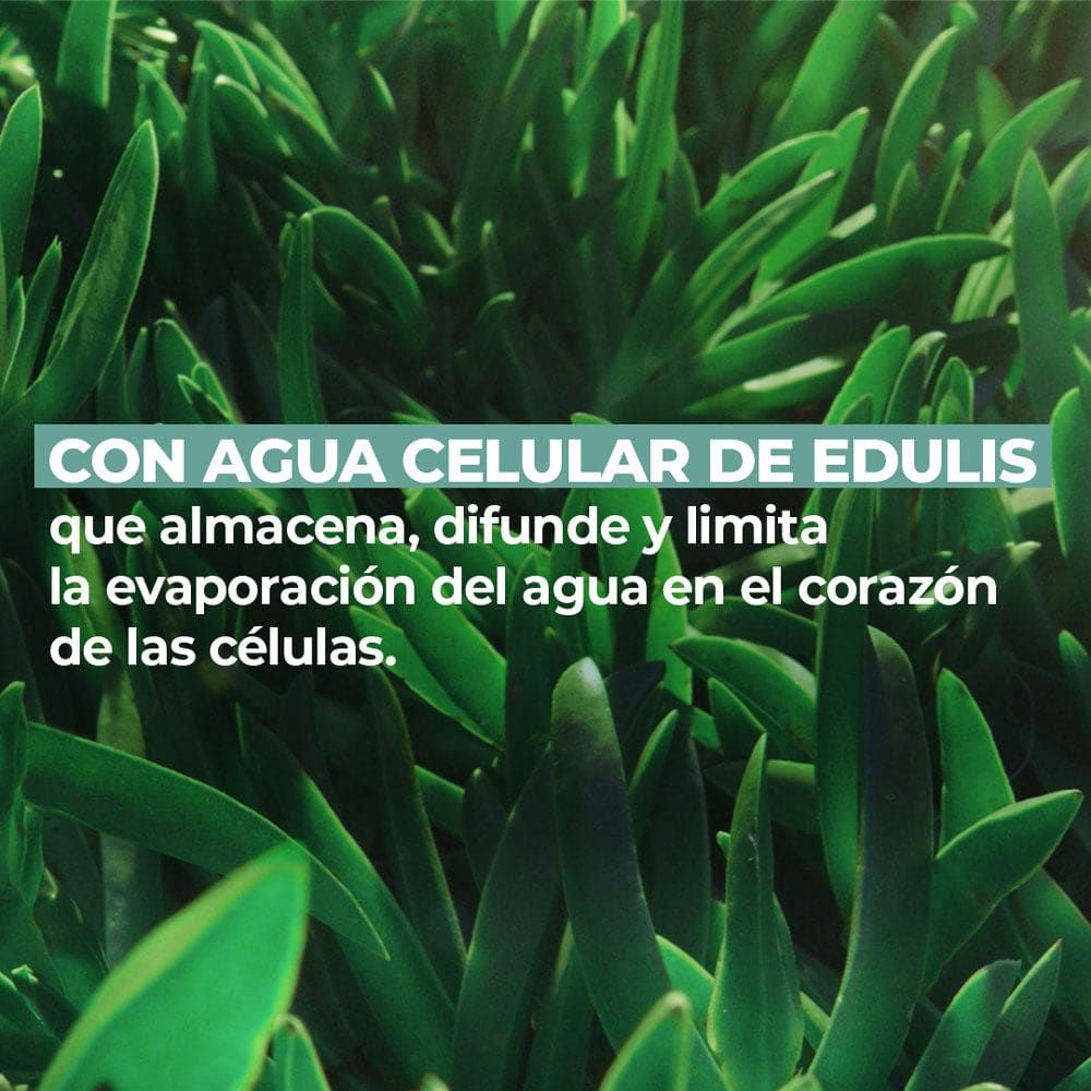MASCARILLA SOS HIDRATACIÓN 75 mL