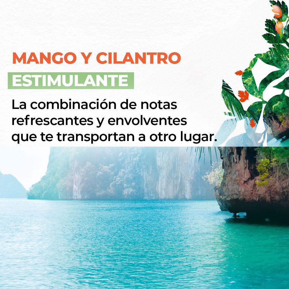 LECHE CORPORAL MANGO 390 mL