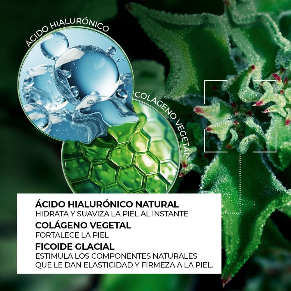 TRAT INTENSIVO D/N RELLENADOR DE ARRUGAS