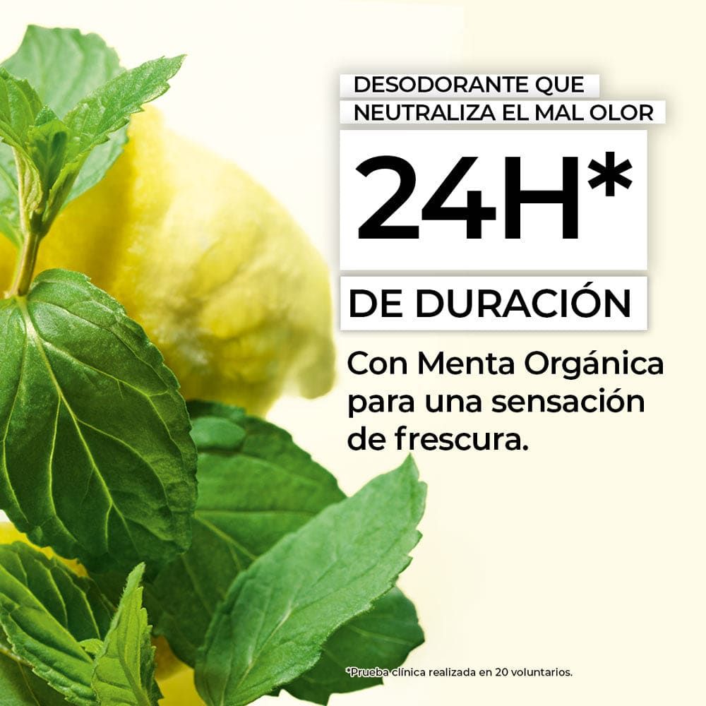 DESODORANTE 24H MENTA 50 mL