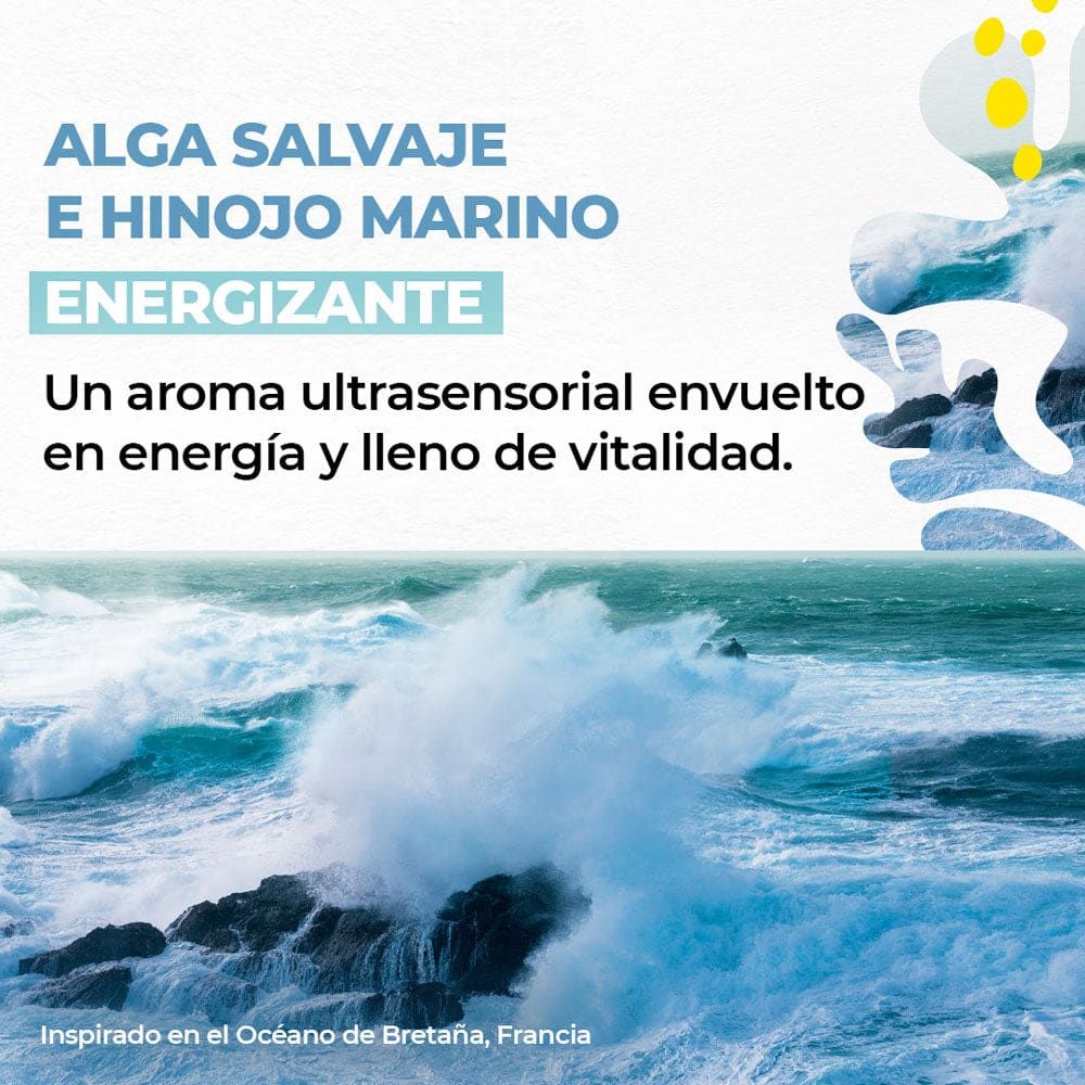 GEL DE DUCHA EVASIÓN ALGAS 400 mL