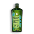 SHAMPOO TRATANTE ANTICASPA 300 mL