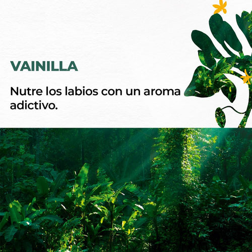 BÁLSAMO LABIAL VAINILLA 4,8 g