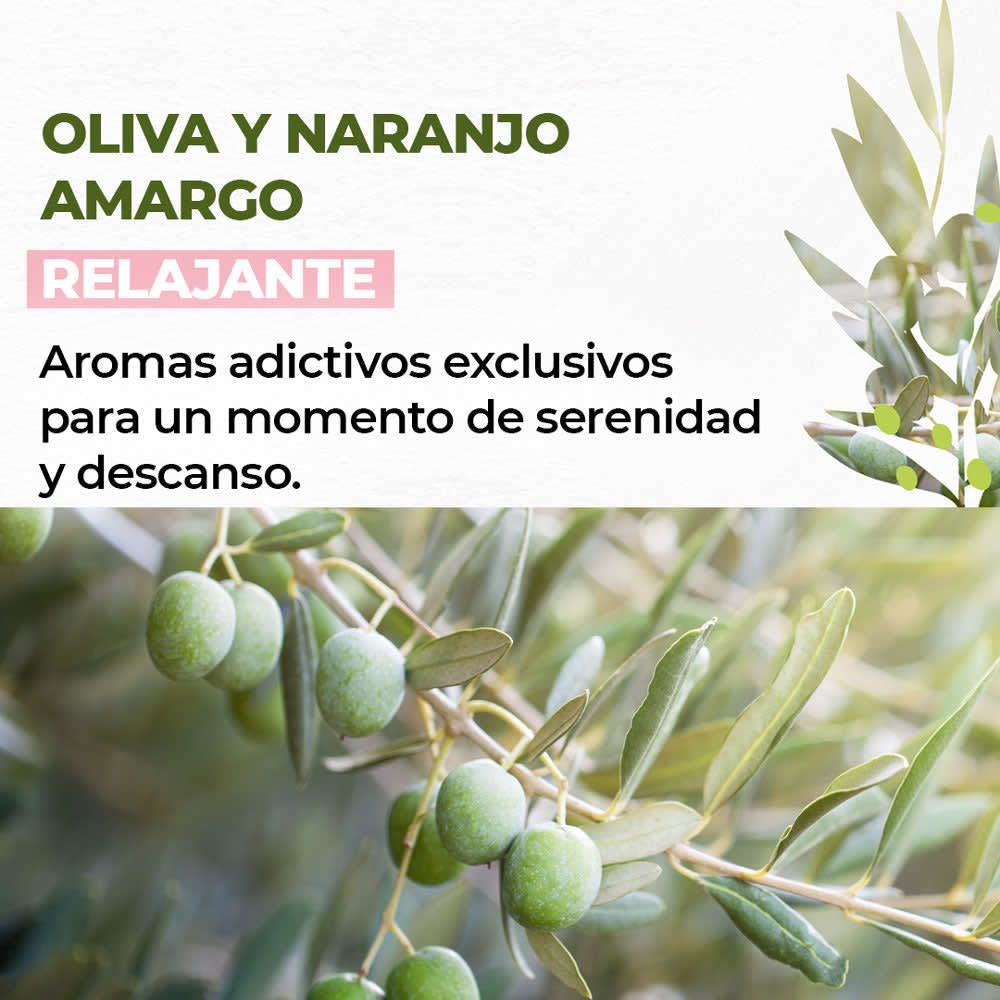 JABÓN LÍQUIDO DE MANOS OLIVA 190 mL